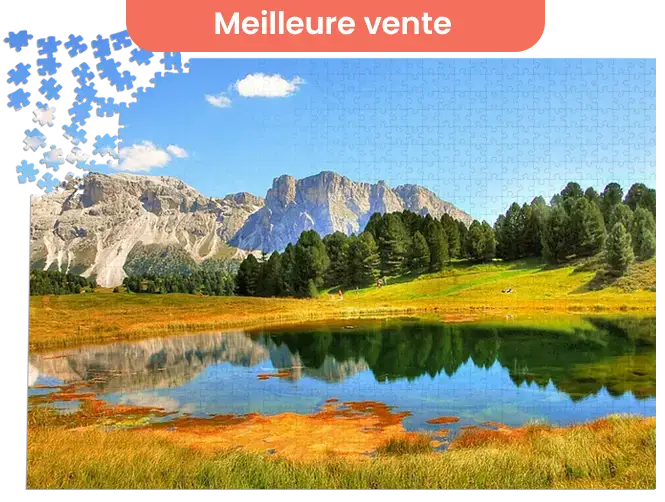 1000 pièces